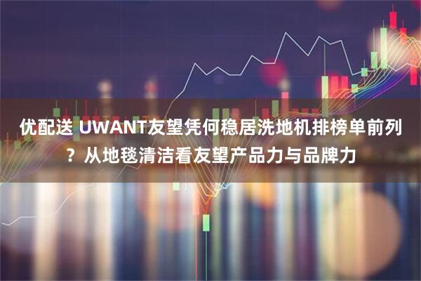 优配送 UWANT友望凭何稳居洗地机排榜单前列？从地毯清洁看友望产品力与品牌力
