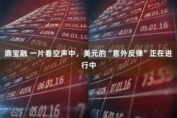 鼎宝融 一片看空声中，美元的“意外反弹”正在进行中