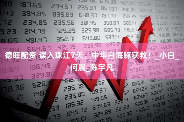 德旺配资 误入珠江7天，中华白海豚获救！_小白_何晨_陈宇凡
